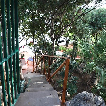 הוילה טראסיני Casa Elvira מראה חיצוני תמונה